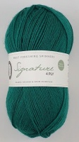 WYS - Signature 4 Ply - 1006 Spruce